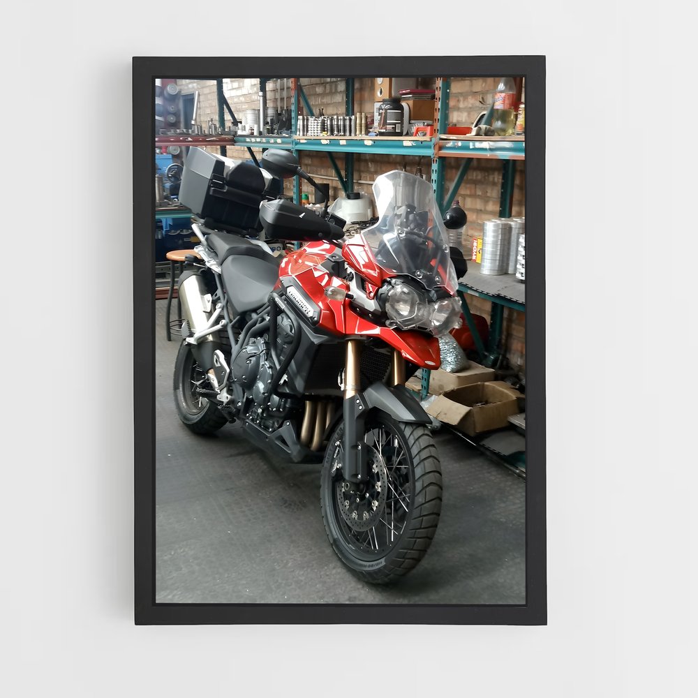 Poster Tigre Majestueux – affiche Triumph (vue 2)